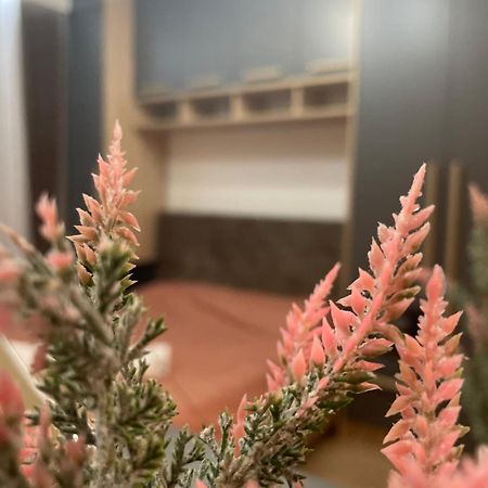 Daf Apartaments Priština Exteriér fotografie