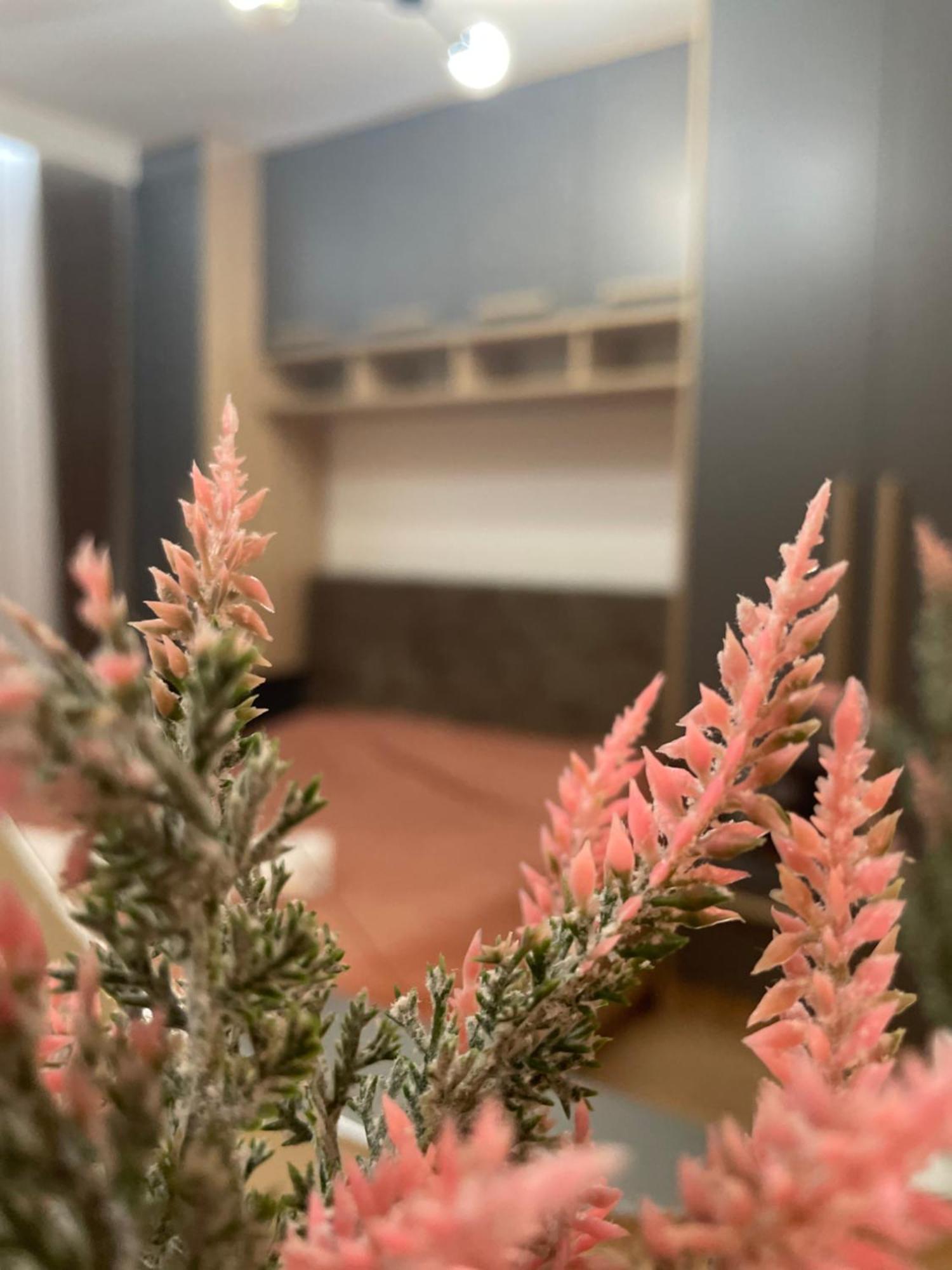 Daf Apartaments Priština Exteriér fotografie